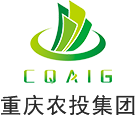 九州手机网页版登录入口